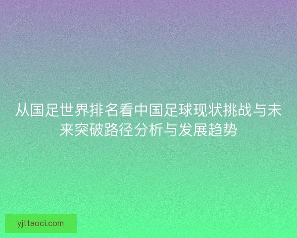 从国足世界排名看中国足球现状挑战与未来突破路径分析与发展趋势
